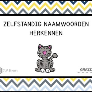 INTERACTIEVE POWERPOINT: ZELFSTANDIG NAAMWOORDEN HERKENNEN