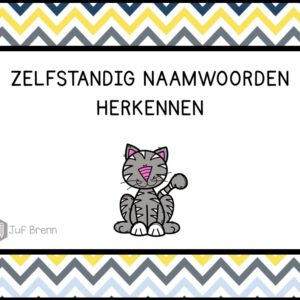 INTERACTIEVE POWERPOINT: ZELFSTANDIG NAAMWOORDEN HERKENNEN