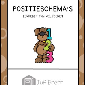 POSITIESCHEMA'S EENHEDEN T/M MILJOENEN