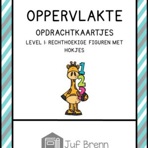 OPPERVLAKTE EN OMTREK LEVEL 1 RECHTHOEKIGE FIGUREN MET HOKJES