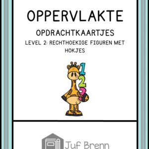 OPPERVLAKTE EN OMTREK LEVEL 2 RECHTHOEKIGE FIGUREN MET HOKJES