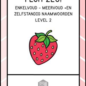 PECH ZEG! ZELFSTANDIG NAAMWOORDEN ENKELVOUD MEERVOUD +EN LEVEL 2