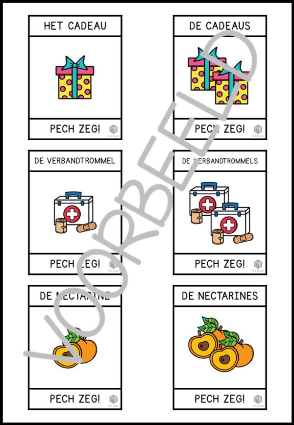 PECH ZEG! ZELFSTANDIG NAAMWOORDEN ENKELVOUD MEERVOUD +S LEVEL 2 - Afbeelding 2