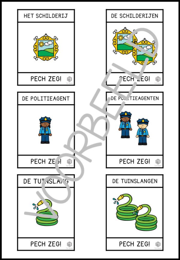 PECH ZEG! ZELFSTANDIG NAAMWOORDEN ENKELVOUD MEERVOUD +EN LEVEL 2 - Afbeelding 2