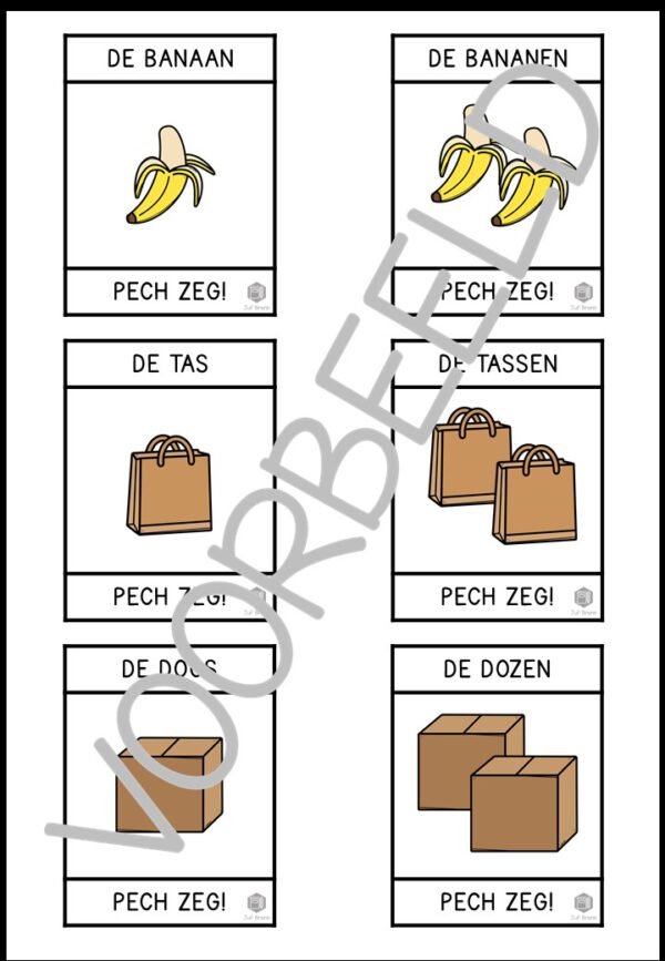 PECH ZEG! ZELFSTANDIG NAAMWOORD ENKELVOUD MEERVOUD OPEN EN GESLOTEN LETTERGREEP LEVEL 1 - Afbeelding 2