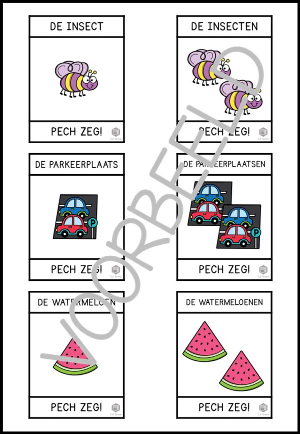 PECH ZEG! ZELFSTANDIG NAAMWOORDEN ENKELVOUD MEERVOUD +EN LEVEL 2 - Afbeelding 3