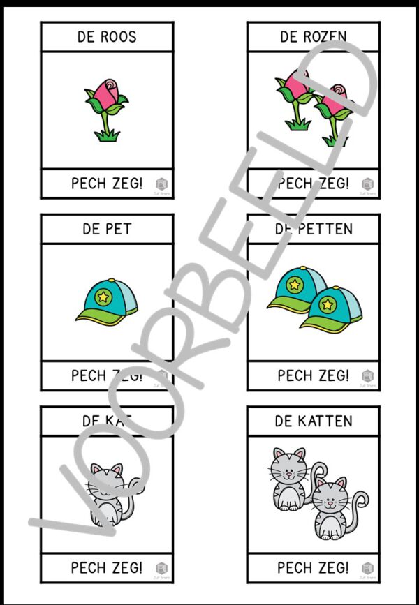 PECH ZEG! ZELFSTANDIG NAAMWOORD ENKELVOUD MEERVOUD OPEN EN GESLOTEN LETTERGREEP LEVEL 1 - Afbeelding 3