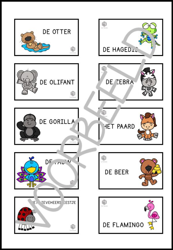 ZELFSTANDIG NAAMWOORDEN SORTEREN - Afbeelding 3