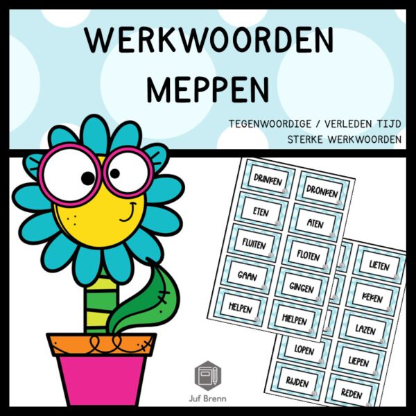 WERKWOORDEN MEPPEN: TEGENWOORDIGE TIJD - VERLEDEN TIJD VAN KLANKVERANDERENDE WERKWOORDEN