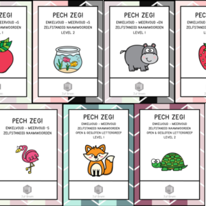 PECH ZEG! ZELFSTANDIG NAAMWOORDEN ENKELVOUD MEERVOUD BUNDEL