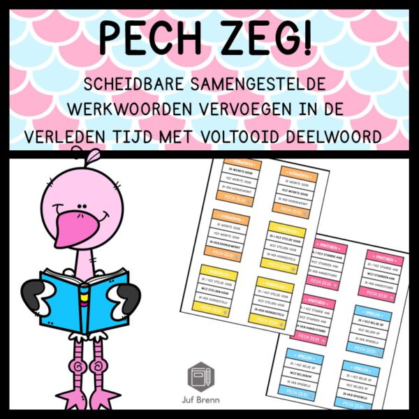 PECH ZEG! SCHEIDBARE SAMENGESTELDE WERKWOORDEN VERLEDEN TIJD TOTAAL