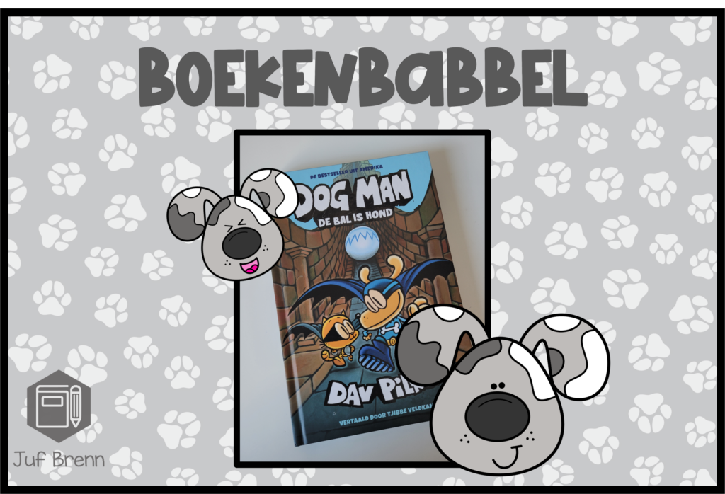 Dog Man De Bal Is Hond