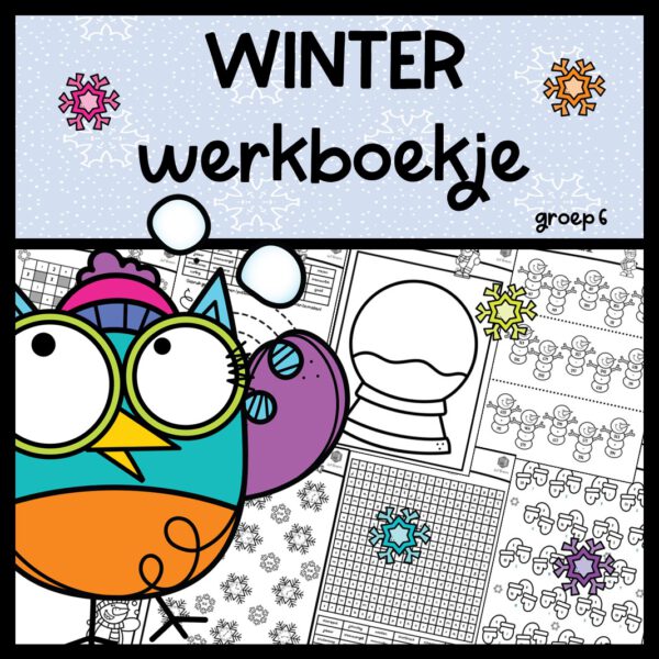 WERKBOEKJE WINTER GROEP 6