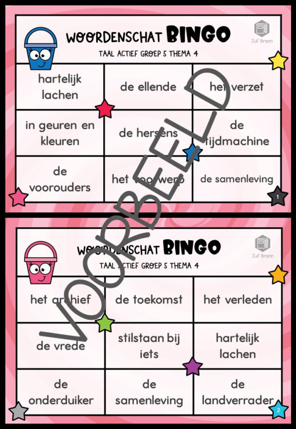 TAAL ACTIEF WOORDENSCHATBINGO GROEP 5 THEMA 4 - Afbeelding 2