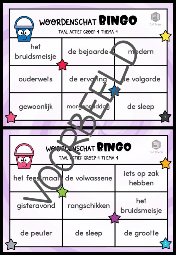 TAAL ACTIEF WOORDENSCHATBINGO GROEP 4 THEMA 4 - Afbeelding 2