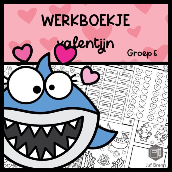 WERKBOEKJE VALENTIJN GROEP 6