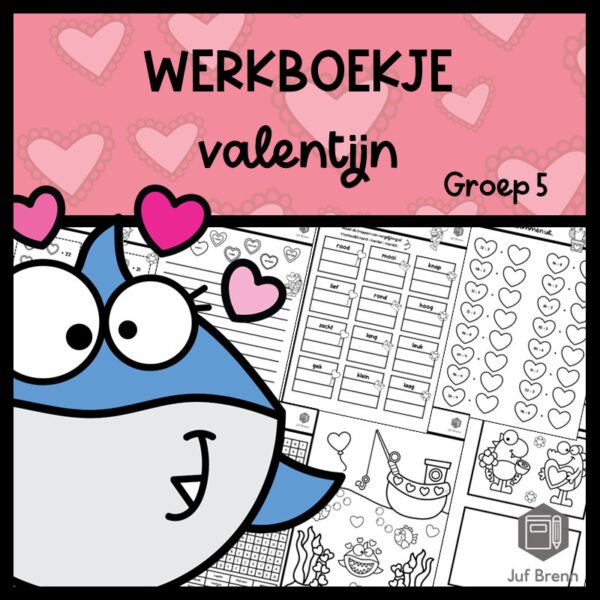 WERKBOEKJE VALENTIJN GROEP 5