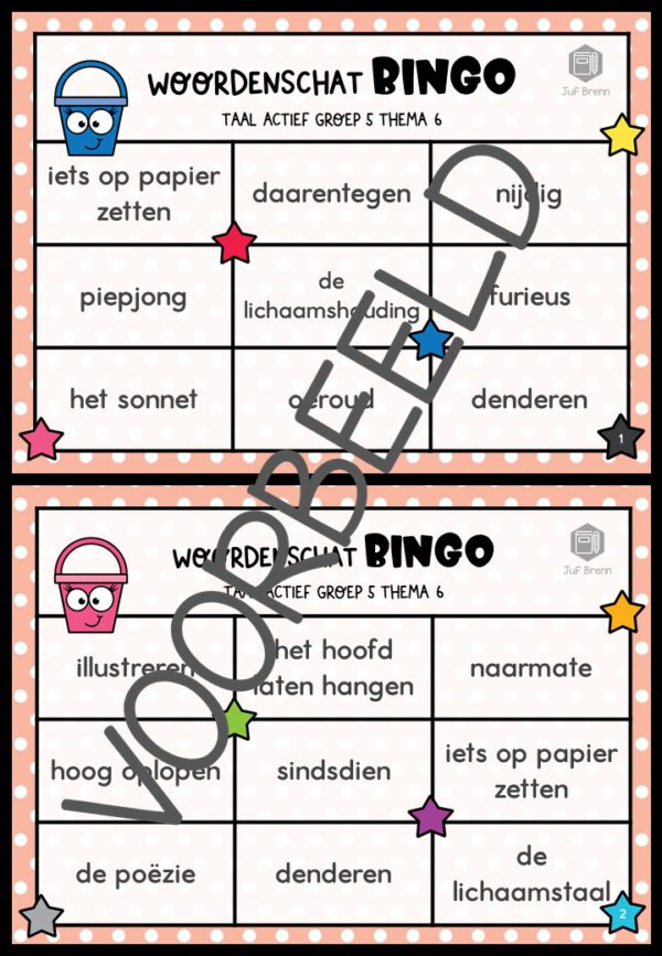 TAAL ACTIEF WOORDENSCHATBINGO GROEP 5 THEMA 6 - Afbeelding 2