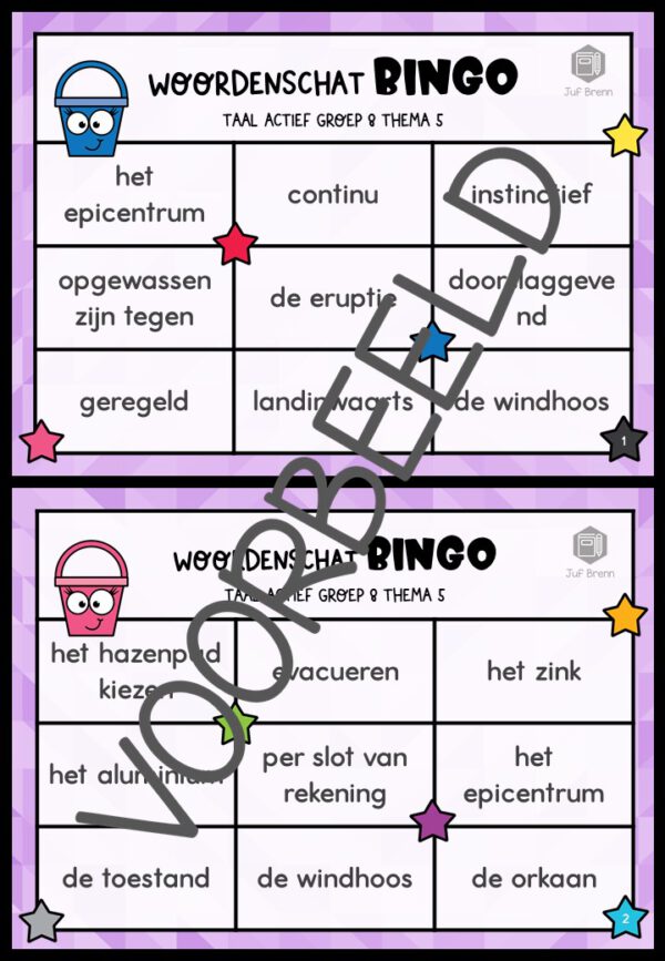 TAAL ACTIEF WOORDENSCHATBINGO GROEP 8 THEMA 5 - Afbeelding 2