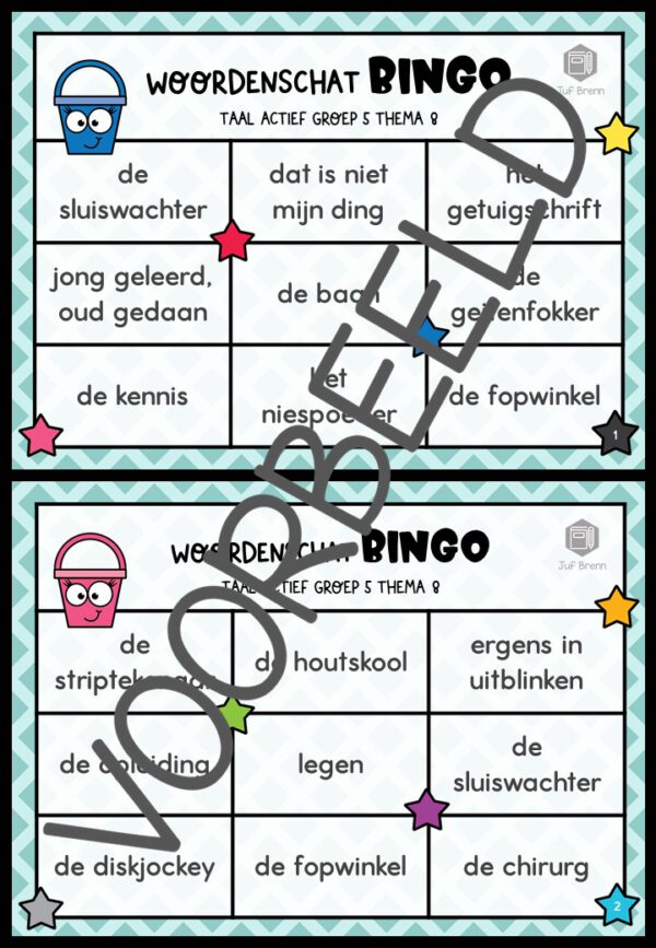 TAAL ACTIEF WOORDENSCHATBINGO GROEP 5 THEMA 8 - Afbeelding 2