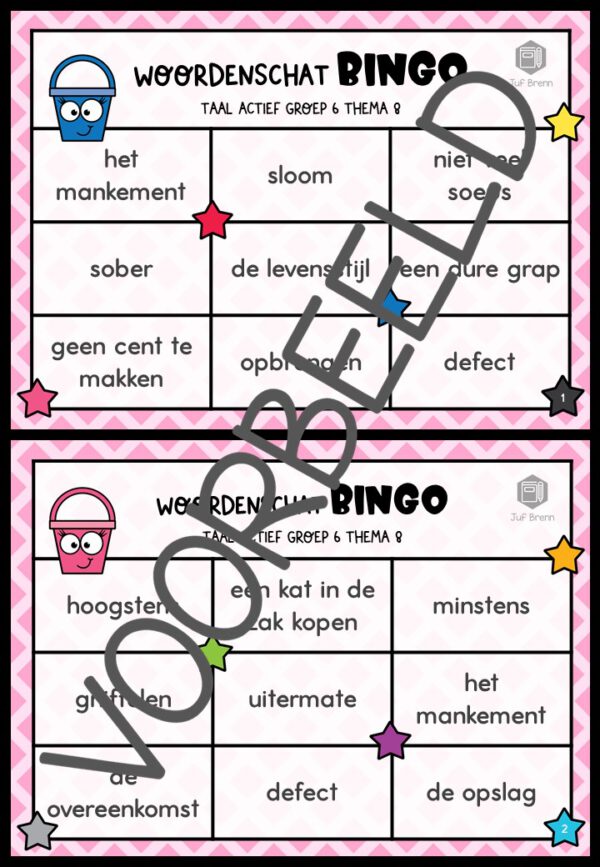 TAAL ACTIEF WOORDENSCHATBINGO GROEP 6 THEMA 8 - Afbeelding 2