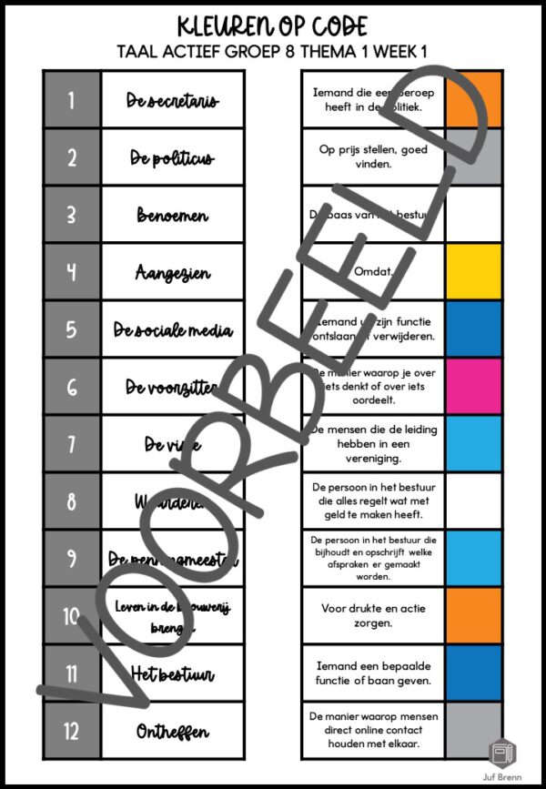 TAAL ACTIEF WOORDENSCHAT KLEUREN OP CODE GROEP 8 THEMA 1 - Afbeelding 3