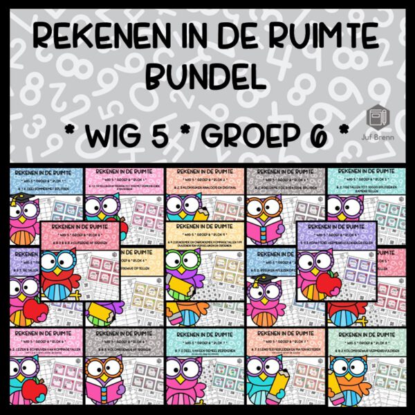 REKENEN IN DE RUIMTE BUNDEL WIG 5 GROEP 6