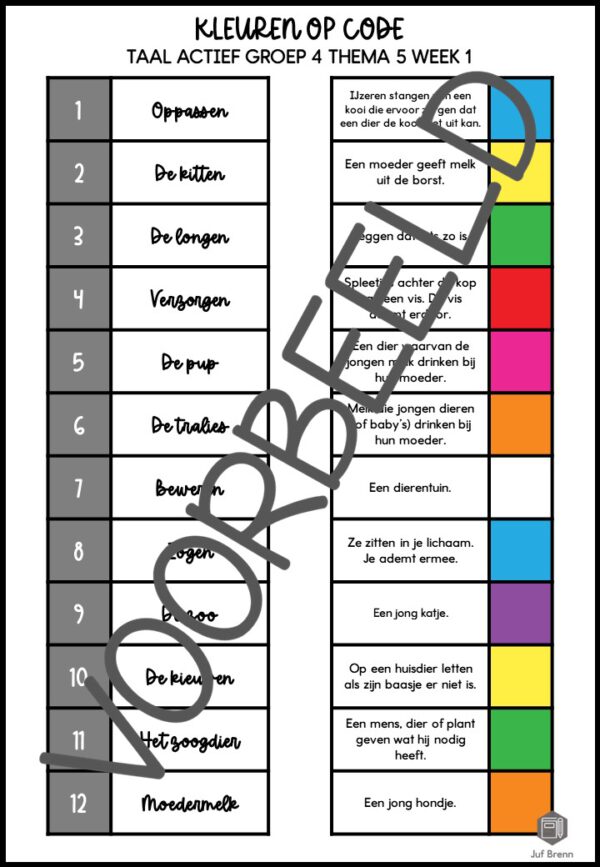 TAAL ACTIEF WOORDENSCHAT KLEUREN OP CODE GROEP 4 THEMA 5 - Afbeelding 3