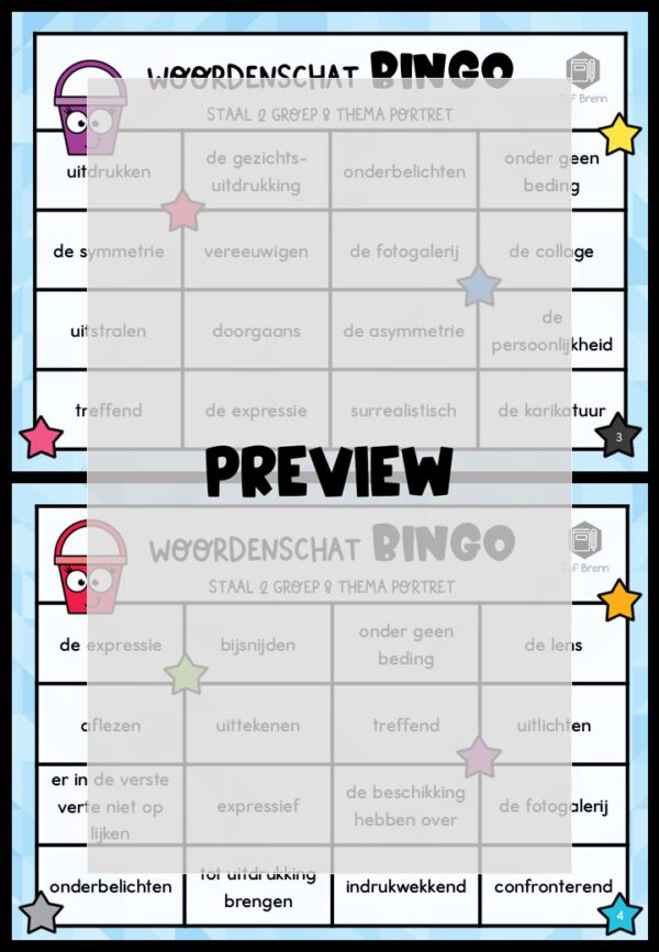 STAAL 2 WOORDENSCHATBINGO GROEP 8 THEMA PORTRET - Afbeelding 2