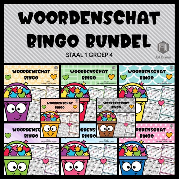 STAAL 1 WOORDENSCHAT BINGO BUNDEL GROEP 4