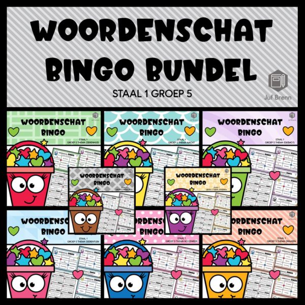STAAL 1 WOORDENSCHAT BINGO BUNDEL GROEP 5