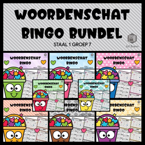 STAAL 1 WOORDENSCHAT BINGO BUNDEL GROEP 7
