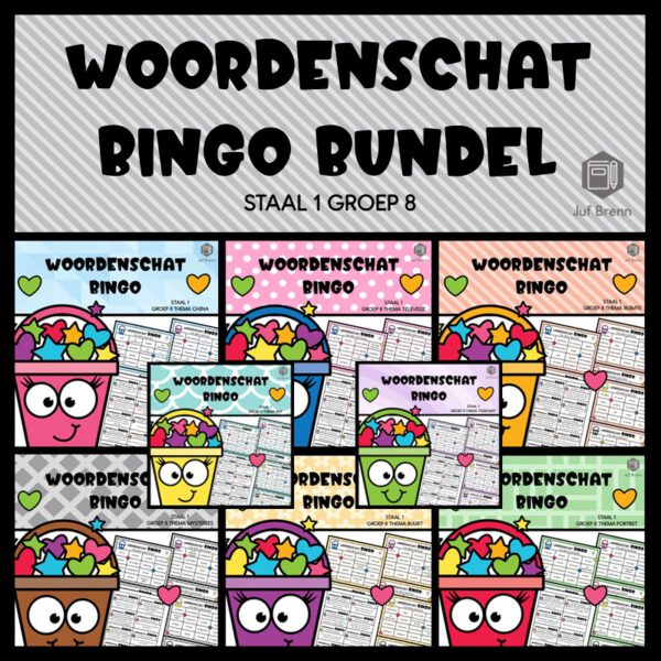 STAAL 1 WOORDENSCHAT BINGO BUNDEL GROEP 8