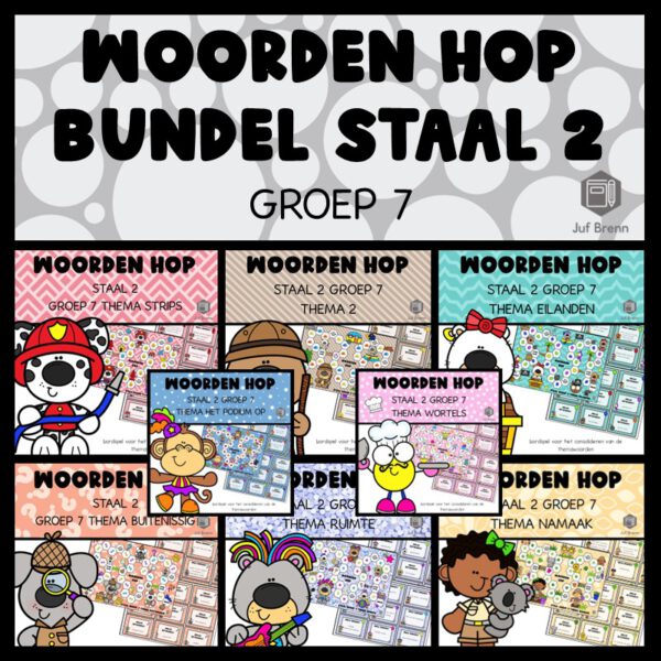 STAAL 2 WOORDEN HOP BUNDEL GROEP 7