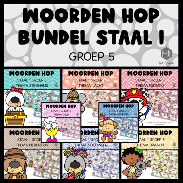 STAAL 2 WOORDEN HOP BUNDEL GROEP 5