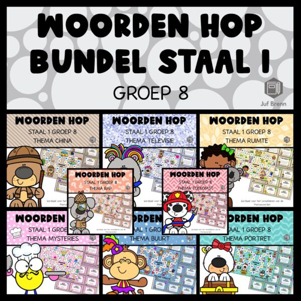 STAAL 1 WOORDEN HOP BUNDEL GROEP 8