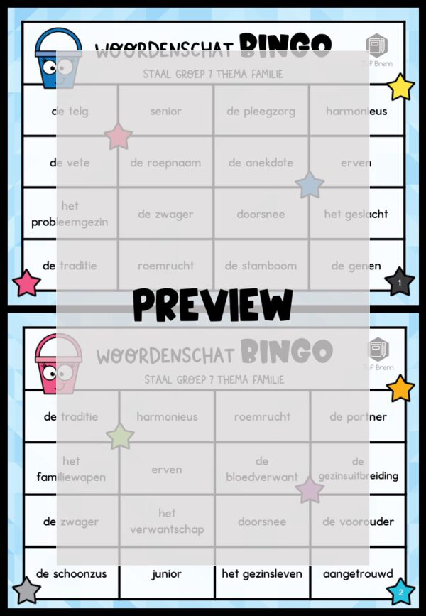 STAAL 1 WOORDENSCHATBINGO GROEP 7 THEMA FAMILIE - Afbeelding 2