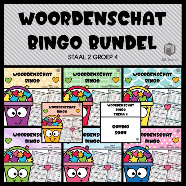 STAAL 2 WOORDENSCHAT BINGO BUNDEL GROEP 4