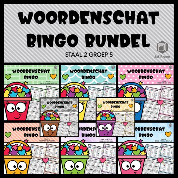 STAAL 2 WOORDENSCHAT BINGO BUNDEL GROEP 5