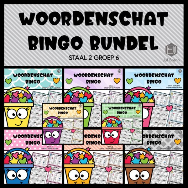 STAAL 2 WOORDENSCHAT BINGO BUNDEL GROEP 6