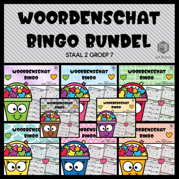 STAAL 2 WOORDENSCHAT BINGO BUNDEL GROEP 7