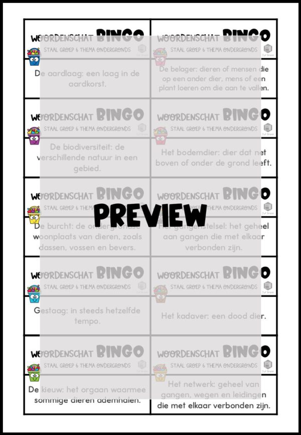 STAAL 2 WOORDENSCHATBINGO GROEP 6 THEMA ONDERGRONDS - Afbeelding 3
