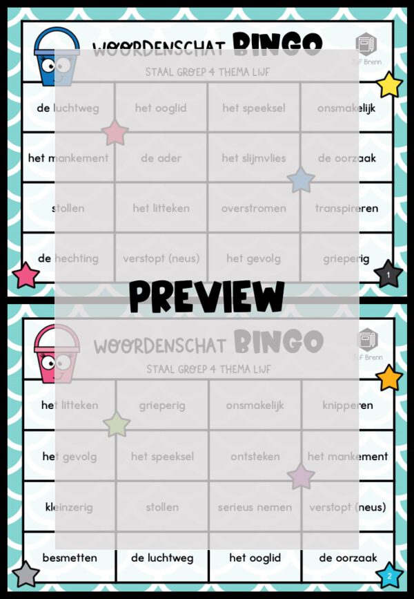 STAAL 2 WOORDENSCHATBINGO GROEP 4 THEMA LIJF - Afbeelding 2