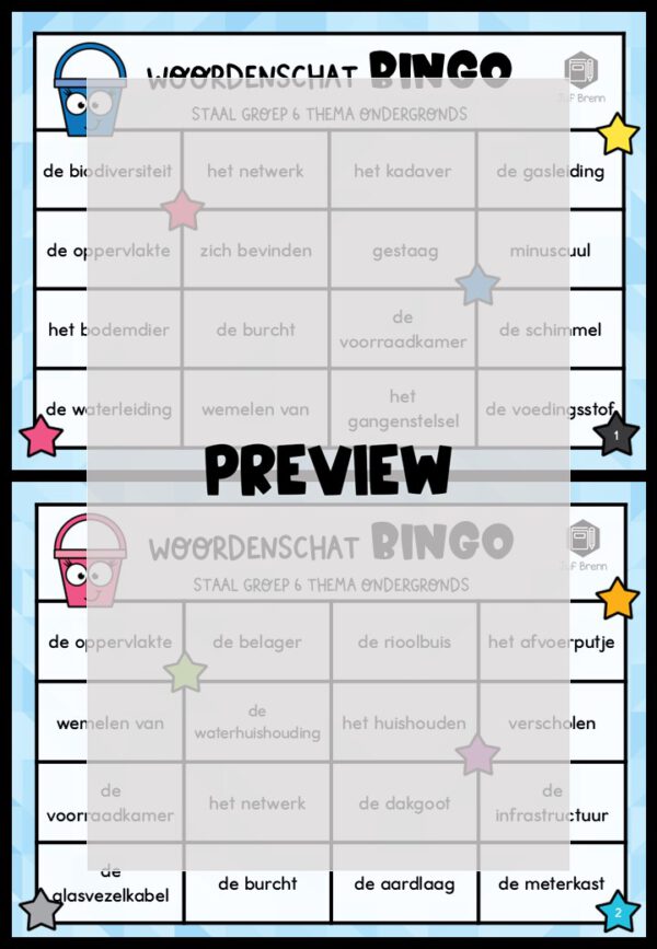 STAAL 2 WOORDENSCHATBINGO GROEP 6 THEMA ONDERGRONDS - Afbeelding 2
