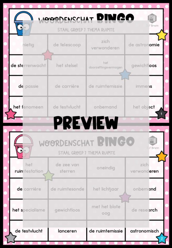 STAAL 2 WOORDENSCHATBINGO GROEP 7 THEMA RUIMTE - Afbeelding 2