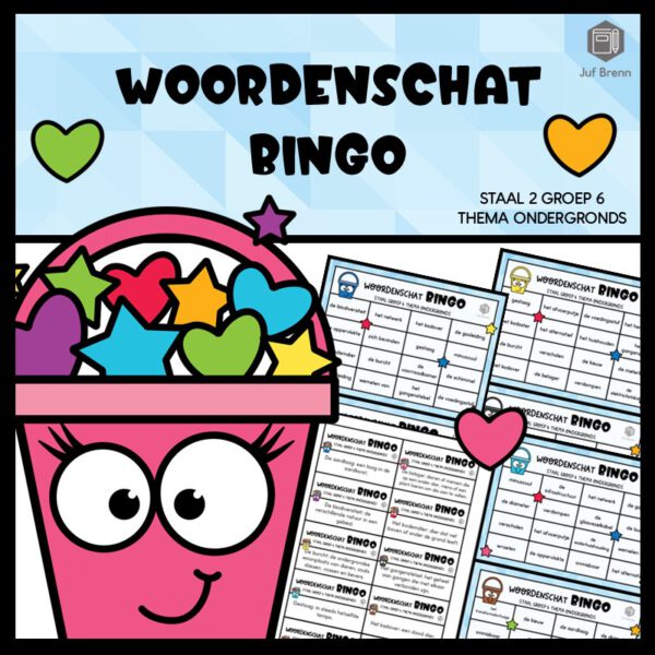 STAAL 2 WOORDENSCHATBINGO GROEP 6 THEMA ONDERGRONDS