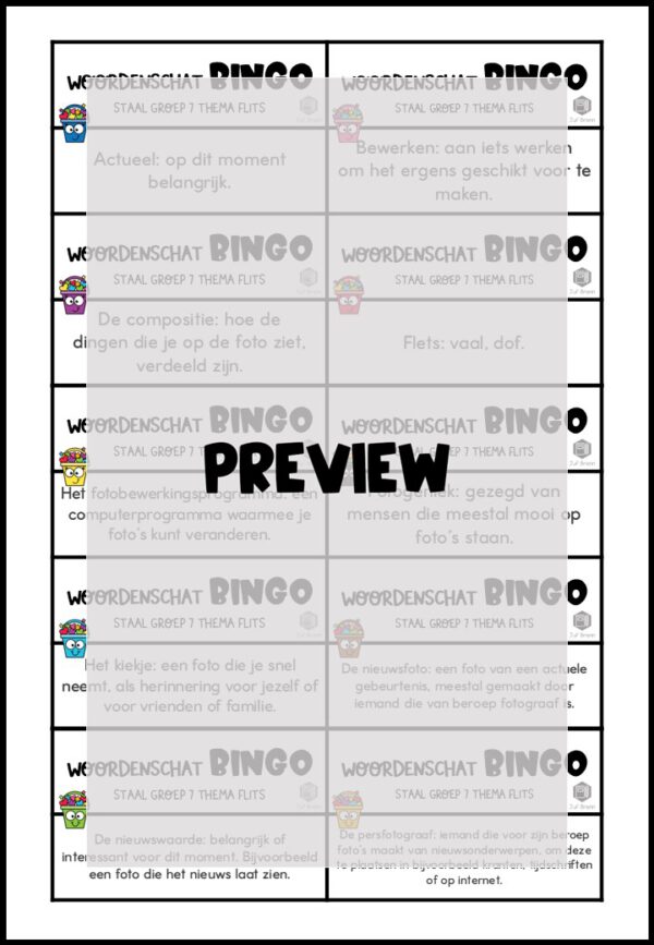 STAAL 1 WOORDENSCHATBINGO GROEP 7 THEMA FLITS - Afbeelding 3