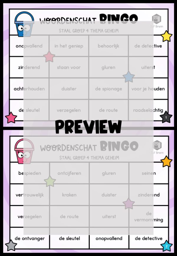 STAAL 2 WOORDENSCHATBINGO GROEP 4 THEMA GEHEIM - Afbeelding 2