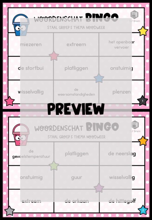 STAAL 1 WOORDENSCHATBINGO GROEP 5 THEMA NOODWEER - Afbeelding 2
