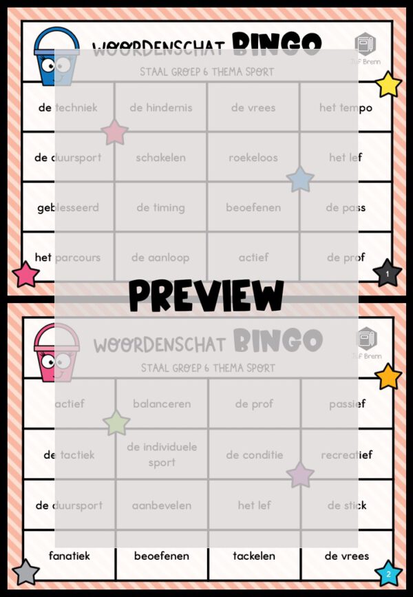 STAAL 1 WOORDENSCHATBINGO GROEP 6 THEMA SPORT - Afbeelding 2